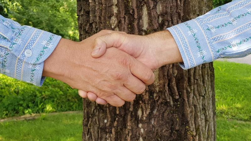 Shake Hands