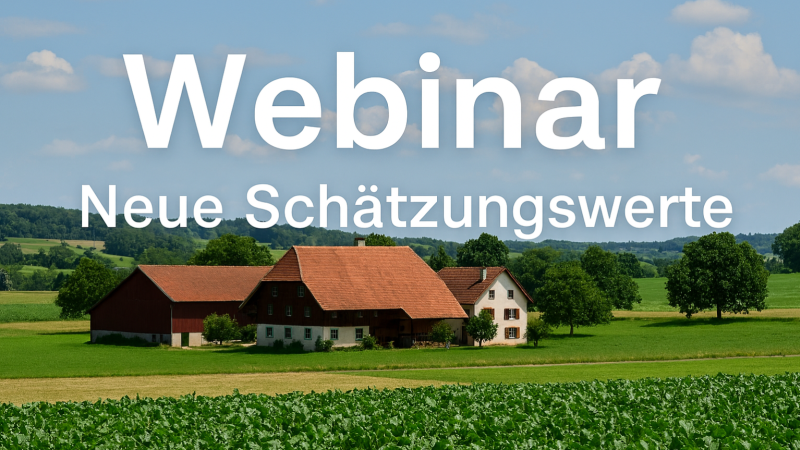 Webinar